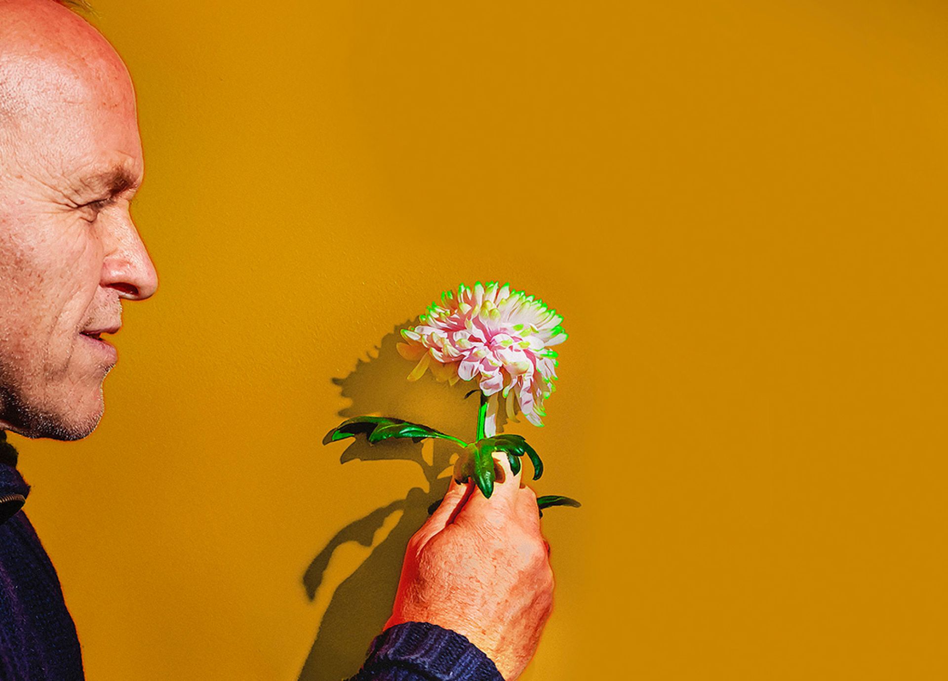 Stef Bos: Bloemlezing 2026